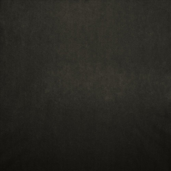 Nampara Charcoal  by Kasmir Fabric See sample 100% Polyester
 CHINA 105,000 Wyzenbeek Double Rubs </p><p>Repeat: Horizontal: N/A and Vertical: N/A 58  - Fabric Carolina -