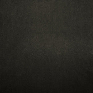 Nampara Charcoal by Kasmir Fabric