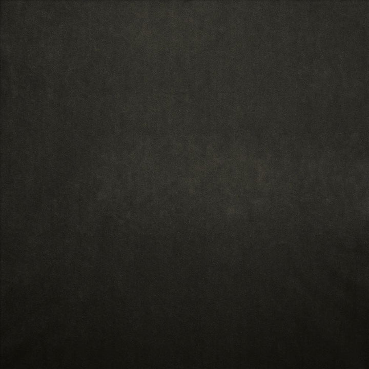 Nampara Charcoal by Kasmir Fabric 5167 100% Polyester
 CHINA 105,000 Wyzenbeek Double Rubs </p><p>Repeat: Horizontal: N/A and Vertical: N/A 58 - Fabric Carolina -