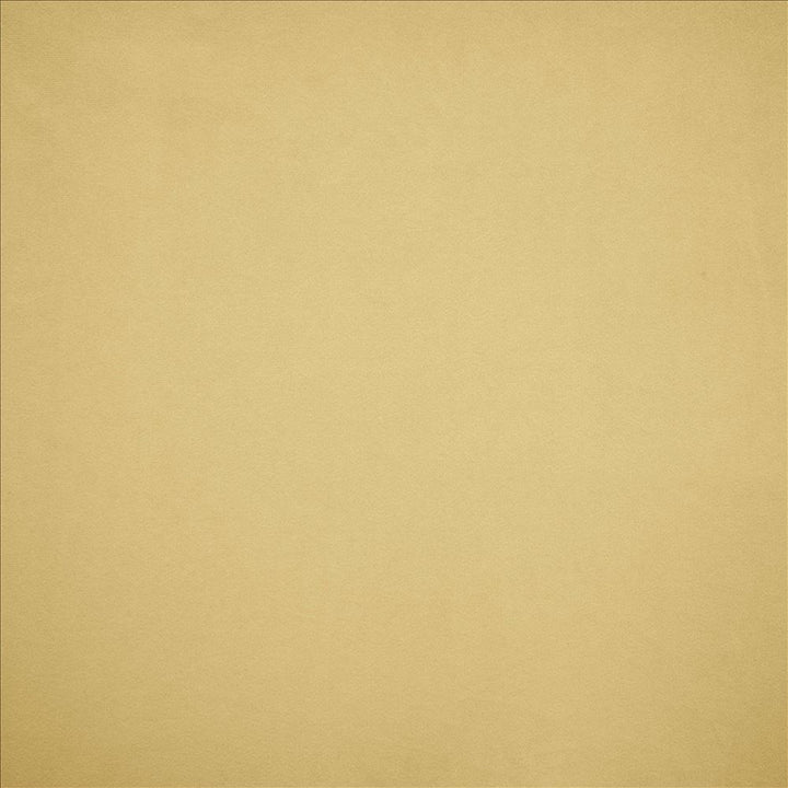 Nampara Cream by Kasmir Fabric 5167 100% Polyester
 CHINA 105,000 Wyzenbeek Double Rubs </p><p>Repeat: Horizontal: N/A and Vertical: N/A 58 - Fabric Carolina -