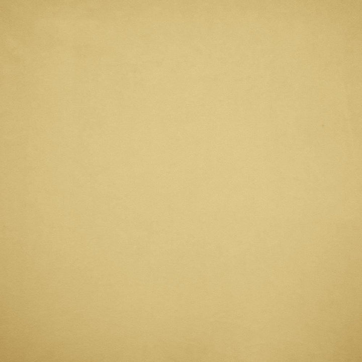 Nampara Cream by Kasmir Fabric 5167 100% Polyester
 CHINA </p><p>Repeat: Horizontal: N/A and Vertical: N/A 58 - Fabric Carolina -