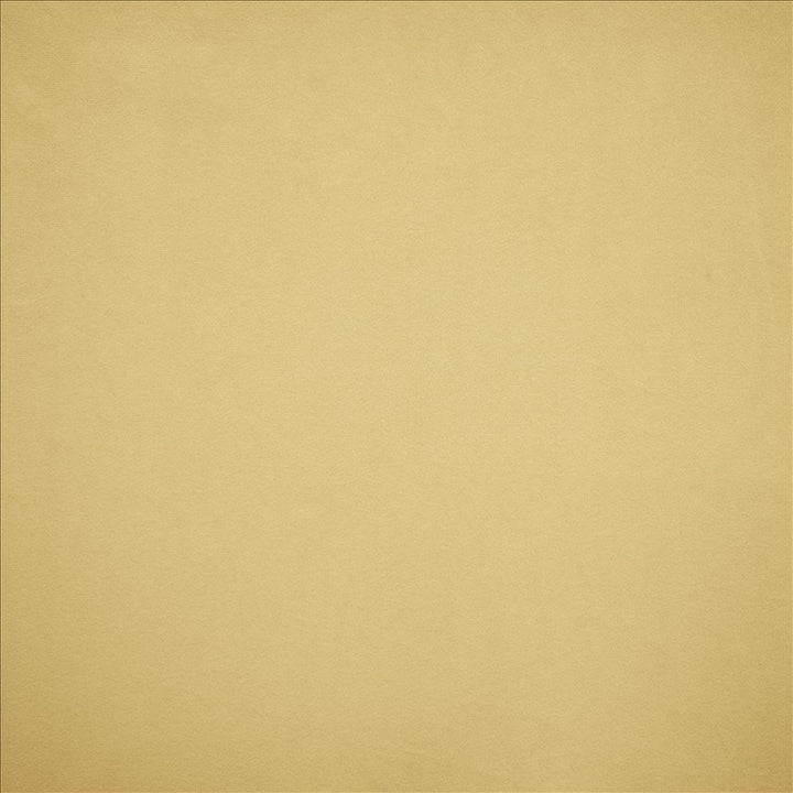 Nampara Cream by Kasmir Fabric 5167 100% Polyester
 CHINA 105,000 Wyzenbeek Double Rubs Horizontal: N/A and Vertical: N/A 58 - Fabric Carolina -