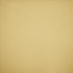 Nampara Cream by Kasmir Fabric