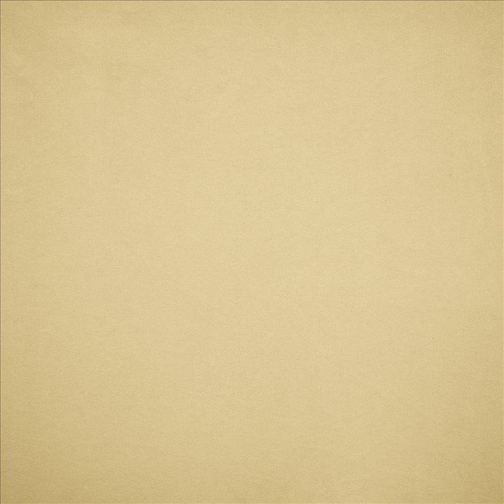 Nampara Ecru by Kasmir Fabric 5167 100% Polyester
 CHINA 105,000 Wyzenbeek Double Rubs </p><p>Repeat: Horizontal: N/A and Vertical: N/A 58 - Fabric Carolina -
