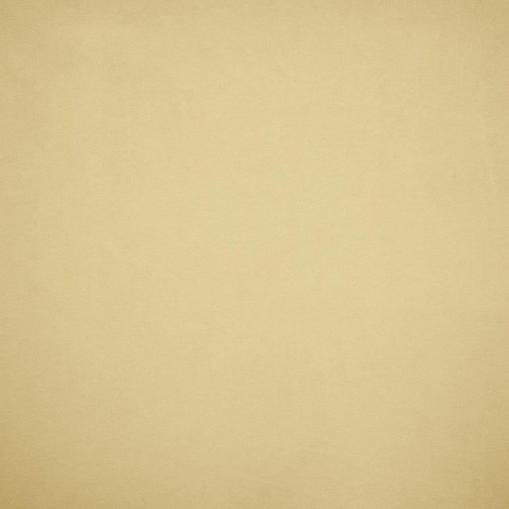 Nampara Ecru by Kasmir Fabric 5167 100% Polyester
 CHINA </p><p>Repeat: Horizontal: N/A and Vertical: N/A 58 - Fabric Carolina -