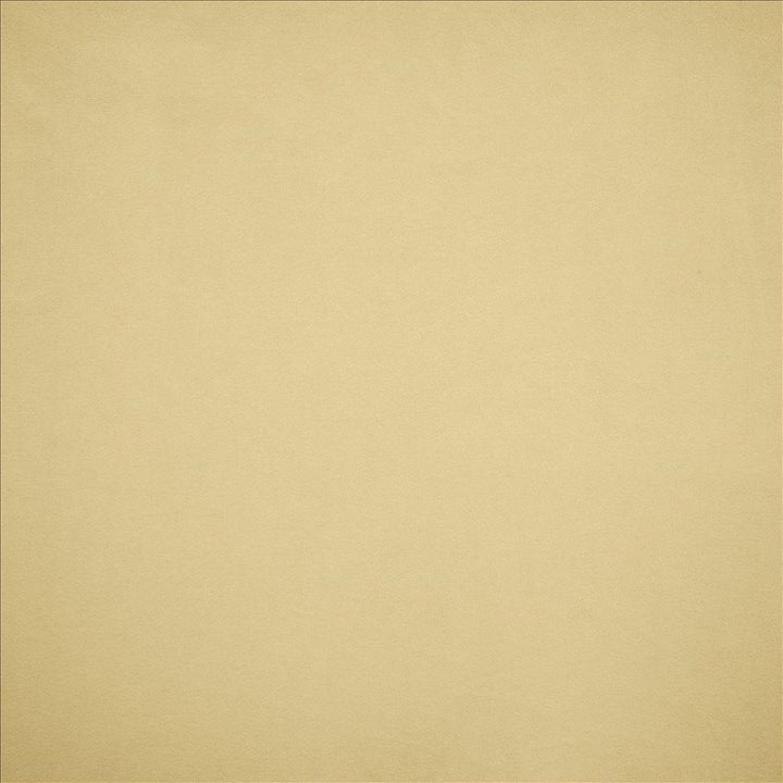 Nampara Ecru by Kasmir Fabric 5167 100% Polyester
 CHINA 105,000 Wyzenbeek Double Rubs Horizontal: N/A and Vertical: N/A 58 - Fabric Carolina -