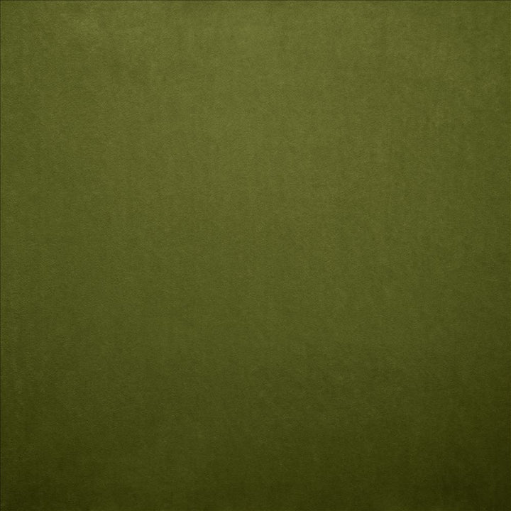 Nampara Fern  by Kasmir Fabric See sample 100% Polyester
 CHINA 105,000 Wyzenbeek Double Rubs </p><p>Repeat: Horizontal: N/A and Vertical: N/A 58  - Fabric Carolina -