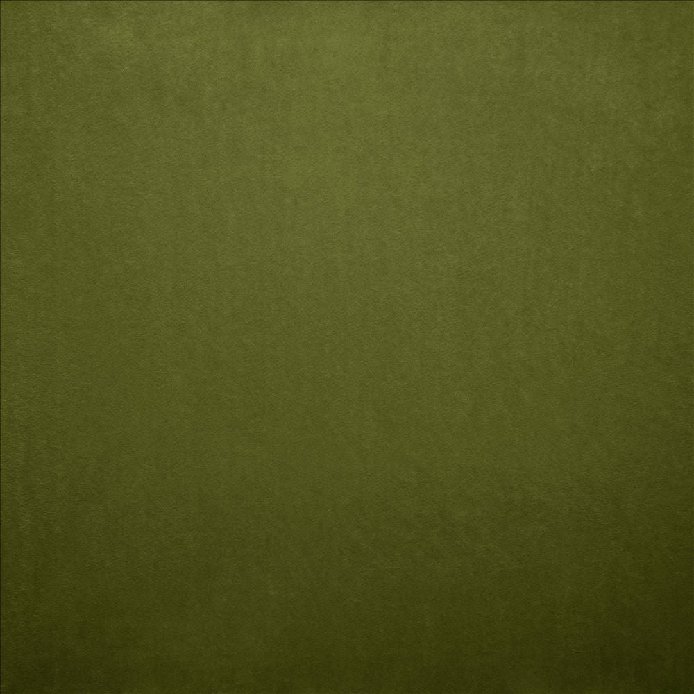 Nampara Fern by Kasmir Fabric 5167 100% Polyester
 CHINA 105,000 Wyzenbeek Double Rubs </p><p>Repeat: Horizontal: N/A and Vertical: N/A 58 - Fabric Carolina -
