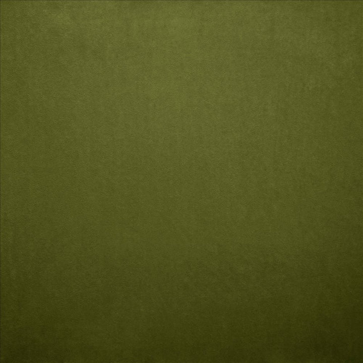 Nampara Fern by Kasmir Fabric 5167 100% Polyester
 CHINA 105,000 Wyzenbeek Double Rubs </p><p>Repeat: Horizontal: N/A and Vertical: N/A 58 - Fabric Carolina -