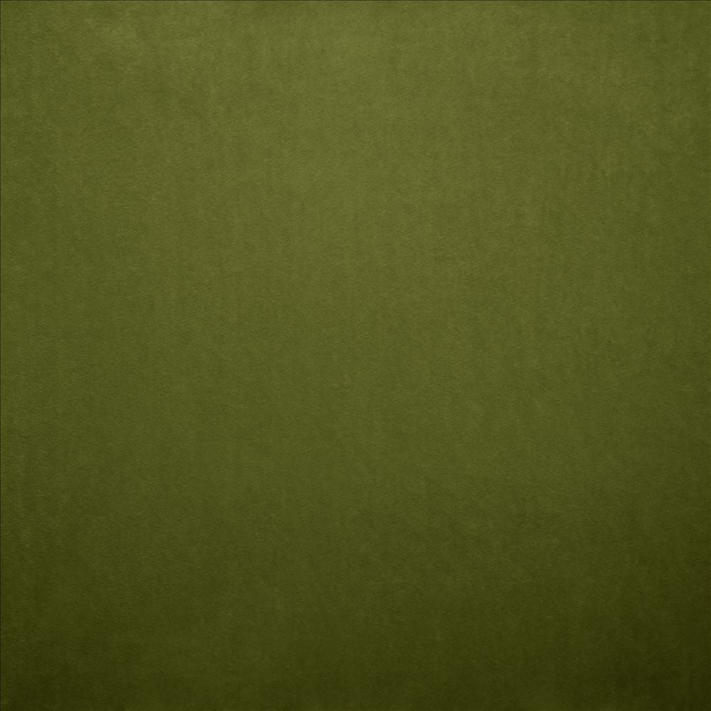 Nampara Fern by Kasmir Fabric 5167 100% Polyester
 CHINA 105,000 Wyzenbeek Double Rubs Horizontal: N/A and Vertical: N/A 58 - Fabric Carolina -