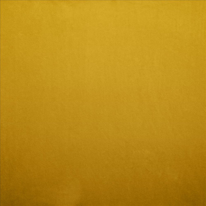 Nampara Gold by Kasmir Fabric 5167 100% Polyester
 CHINA 105,000 Wyzenbeek Double Rubs Horizontal: N/A and Vertical: N/A 58 - Fabric Carolina -