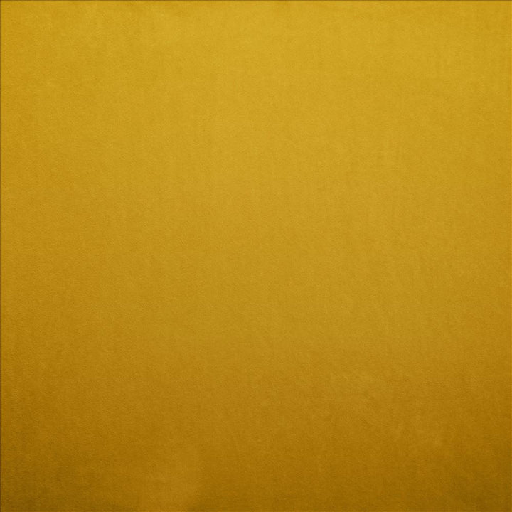 Nampara Gold by Kasmir Fabric 5167 100% Polyester
 CHINA 105,000 Wyzenbeek Double Rubs </p><p>Repeat: Horizontal: N/A and Vertical: N/A 58 - Fabric Carolina -