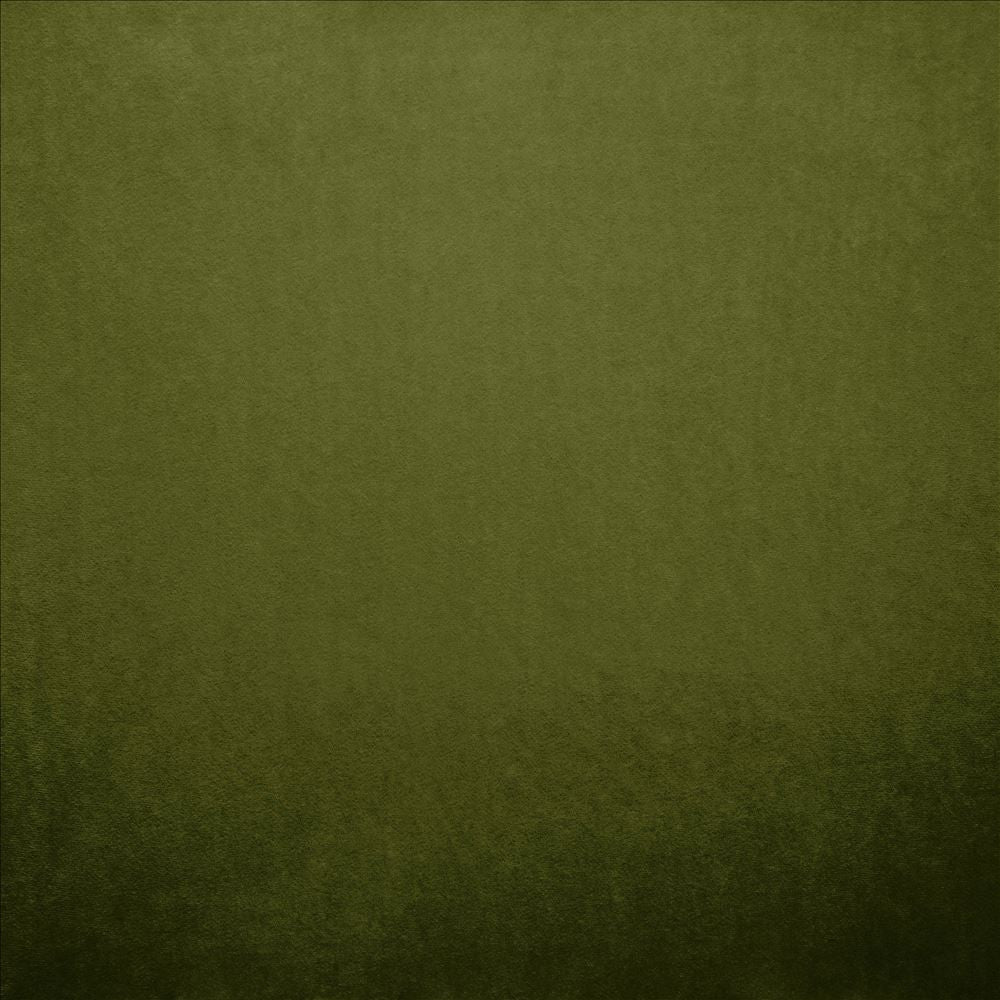 Nampara Green by Kasmir Fabric 5167 100% Polyester
 CHINA 105,000 Wyzenbeek Double Rubs </p><p>Repeat: Horizontal: N/A and Vertical: N/A 58 - Fabric Carolina -
