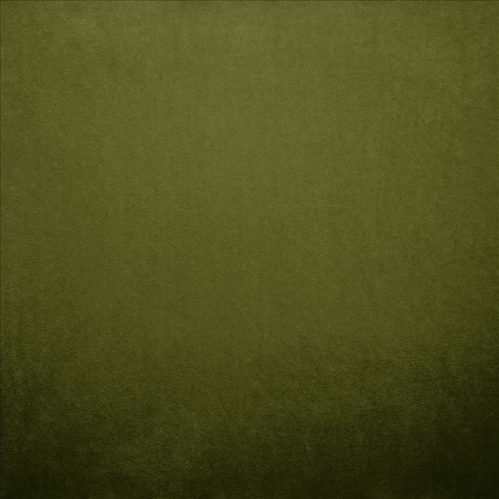 Nampara Green by Kasmir Fabric 5167 100% Polyester
 CHINA 105,000 Wyzenbeek Double Rubs </p><p>Repeat: Horizontal: N/A and Vertical: N/A 58 - Fabric Carolina -