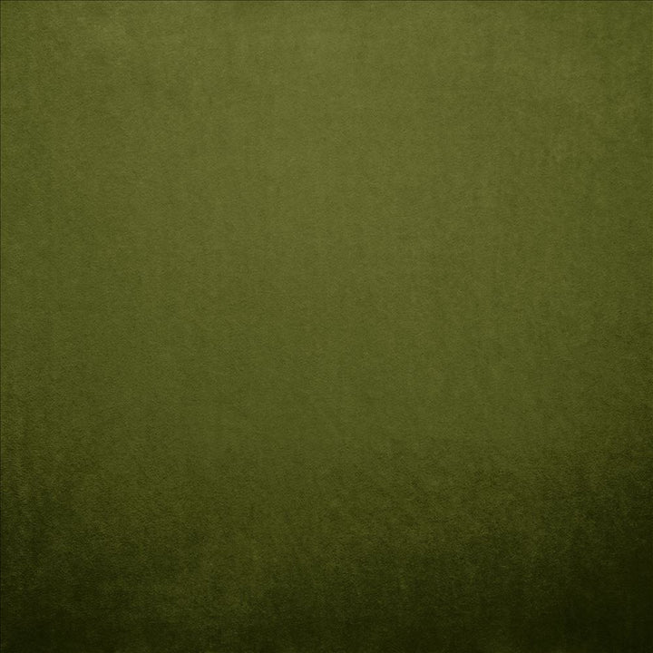 Nampara Green  by Kasmir Fabric See sample 100% Polyester
 CHINA 105,000 Wyzenbeek Double Rubs </p><p>Repeat: Horizontal: N/A and Vertical: N/A 58  - Fabric Carolina -