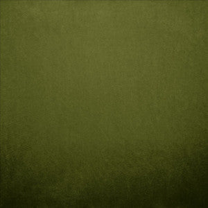 Nampara Green by Kasmir Fabric