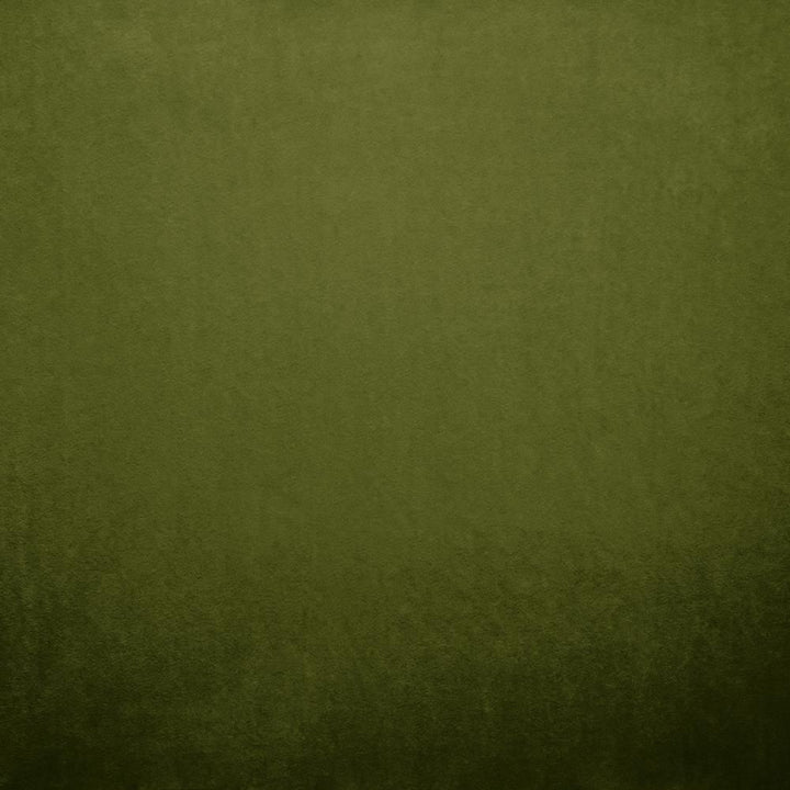 Nampara Green by Kasmir Fabric 5167 100% Polyester
 CHINA </p><p>Repeat: Horizontal: N/A and Vertical: N/A 58 - Fabric Carolina -