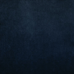 Nampara Indigo by Kasmir Fabric