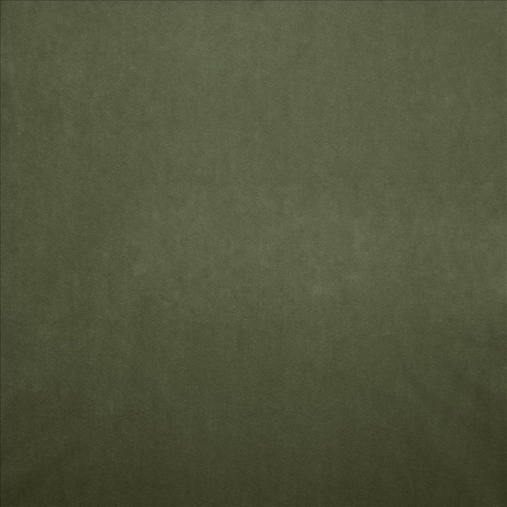 Nampara Kiwi by Kasmir Fabric 5167 100% Polyester
 CHINA 105,000 Wyzenbeek Double Rubs </p><p>Repeat: Horizontal: N/A and Vertical: N/A 58 - Fabric Carolina -