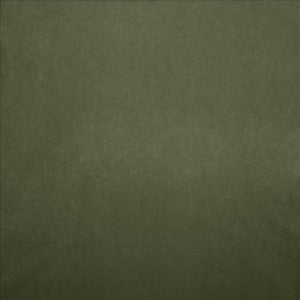 Nampara Kiwi by Kasmir Fabric