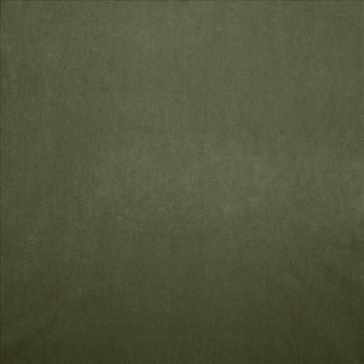 Nampara Kiwi by Kasmir Fabric 5167 100% Polyester
 CHINA </p><p>Repeat: Horizontal: N/A and Vertical: N/A 58 - Fabric Carolina -