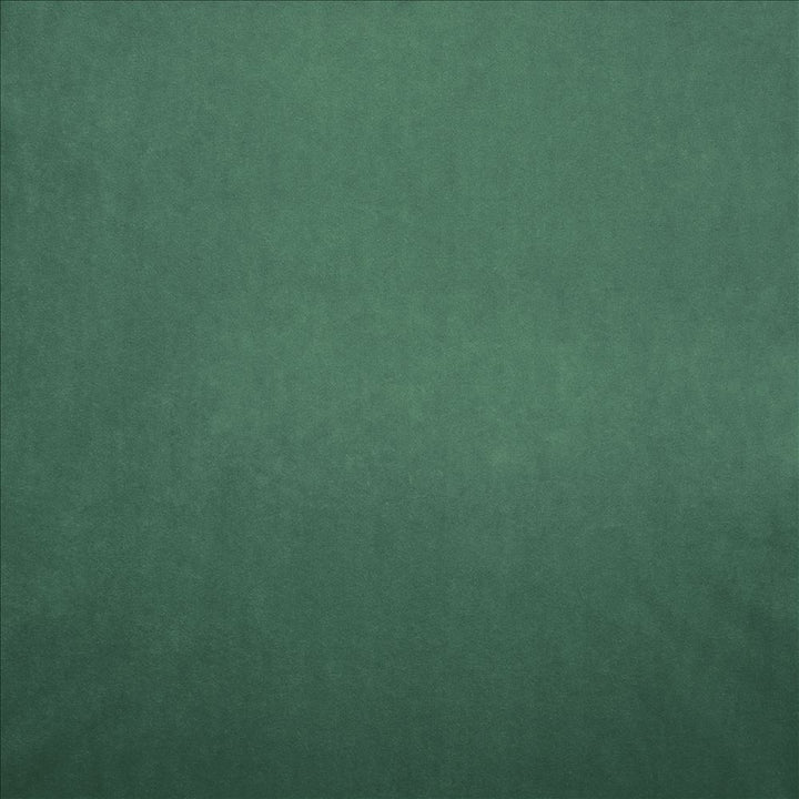Nampara Leaf by Kasmir Fabric 5167 100% Polyester
 CHINA 105,000 Wyzenbeek Double Rubs Horizontal: N/A and Vertical: N/A 58 - Fabric Carolina -