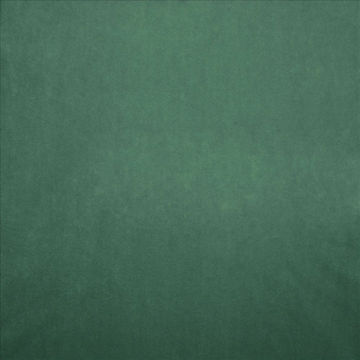 Nampara Leaf by Kasmir Fabric 5167 100% Polyester
 CHINA 105,000 Wyzenbeek Double Rubs </p><p>Repeat: Horizontal: N/A and Vertical: N/A 58 - Fabric Carolina -