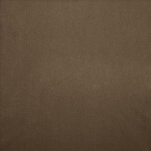Nampara Mocha by Kasmir Fabric