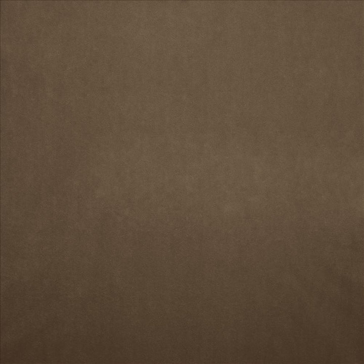 Nampara Mocha by Kasmir Fabric 5167 100% Polyester
 CHINA </p><p>Repeat: Horizontal: N/A and Vertical: N/A 58 - Fabric Carolina -