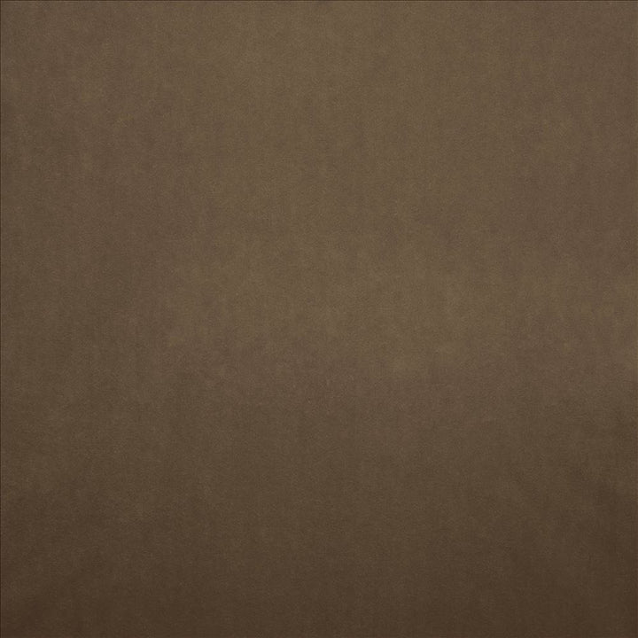 Nampara Mocha by Kasmir Fabric 5167 100% Polyester
 CHINA 105,000 Wyzenbeek Double Rubs </p><p>Repeat: Horizontal: N/A and Vertical: N/A 58 - Fabric Carolina -