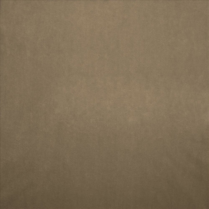 Nampara Natural by Kasmir Fabric 5167 100% Polyester
 CHINA 105,000 Wyzenbeek Double Rubs </p><p>Repeat: Horizontal: N/A and Vertical: N/A 58 - Fabric Carolina -