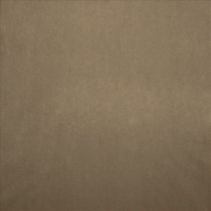 Nampara Natural by Kasmir Fabric 5167 100% Polyester
 CHINA 105,000 Wyzenbeek Double Rubs Horizontal: N/A and Vertical: N/A 58 - Fabric Carolina -
