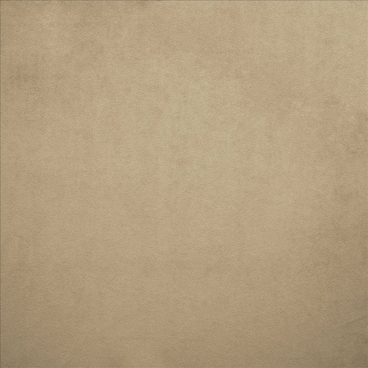 Nampara Nickel by Kasmir Fabric 5167 100% Polyester
 CHINA 105,000 Wyzenbeek Double Rubs </p><p>Repeat: Horizontal: N/A and Vertical: N/A 58 - Fabric Carolina -