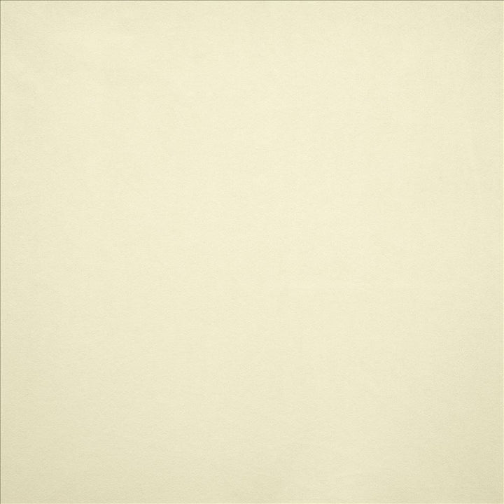Nampara Off White by Kasmir Fabric 5167 100% Polyester
 CHINA </p><p>Repeat: Horizontal: N/A and Vertical: N/A 58 - Fabric Carolina -