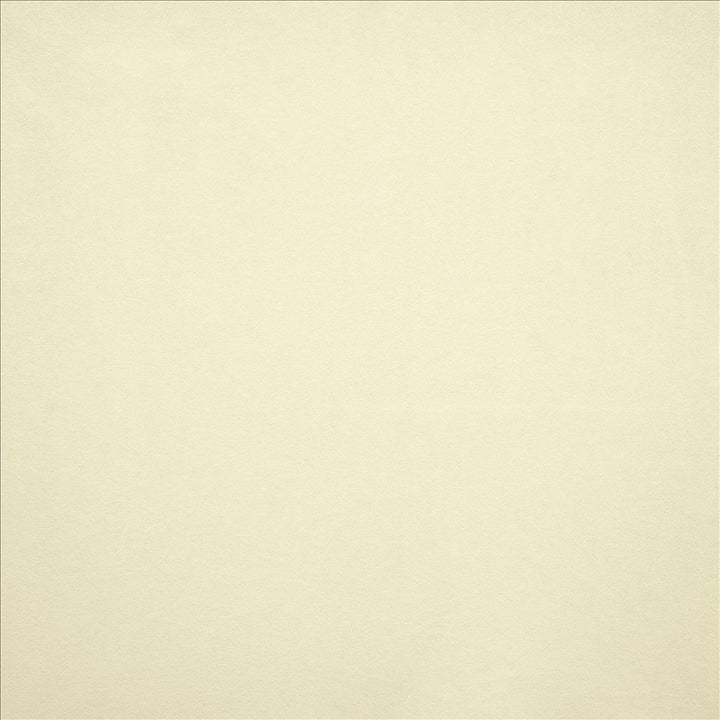 Nampara Off White by Kasmir Fabric 5167 100% Polyester
 CHINA 105,000 Wyzenbeek Double Rubs </p><p>Repeat: Horizontal: N/A and Vertical: N/A 58 - Fabric Carolina -