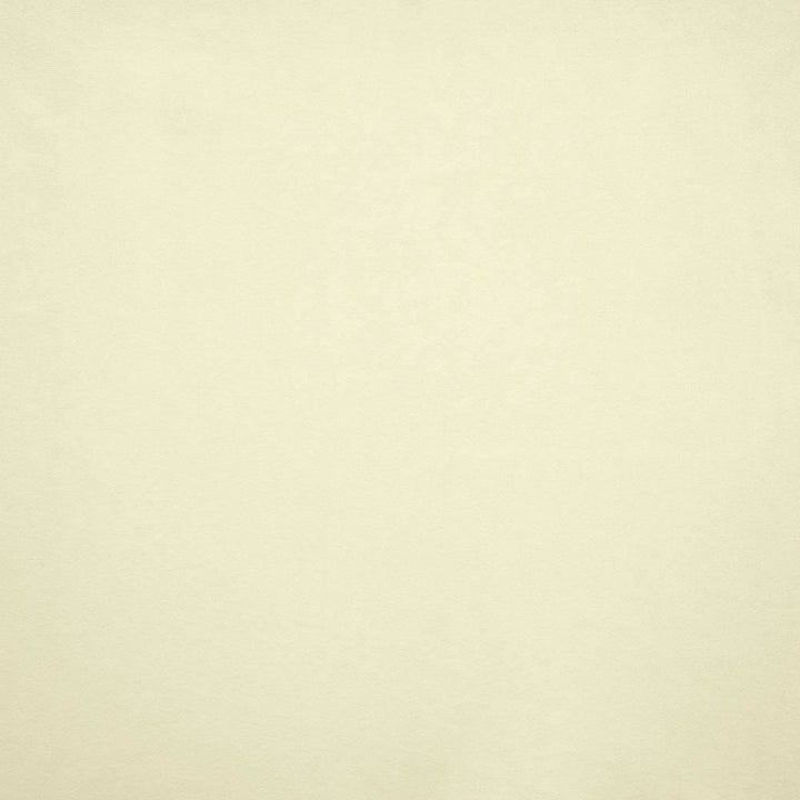 Nampara Off White by Kasmir Fabric 5167 100% Polyester
 CHINA </p><p>Repeat: Horizontal: N/A and Vertical: N/A 58 - Fabric Carolina -