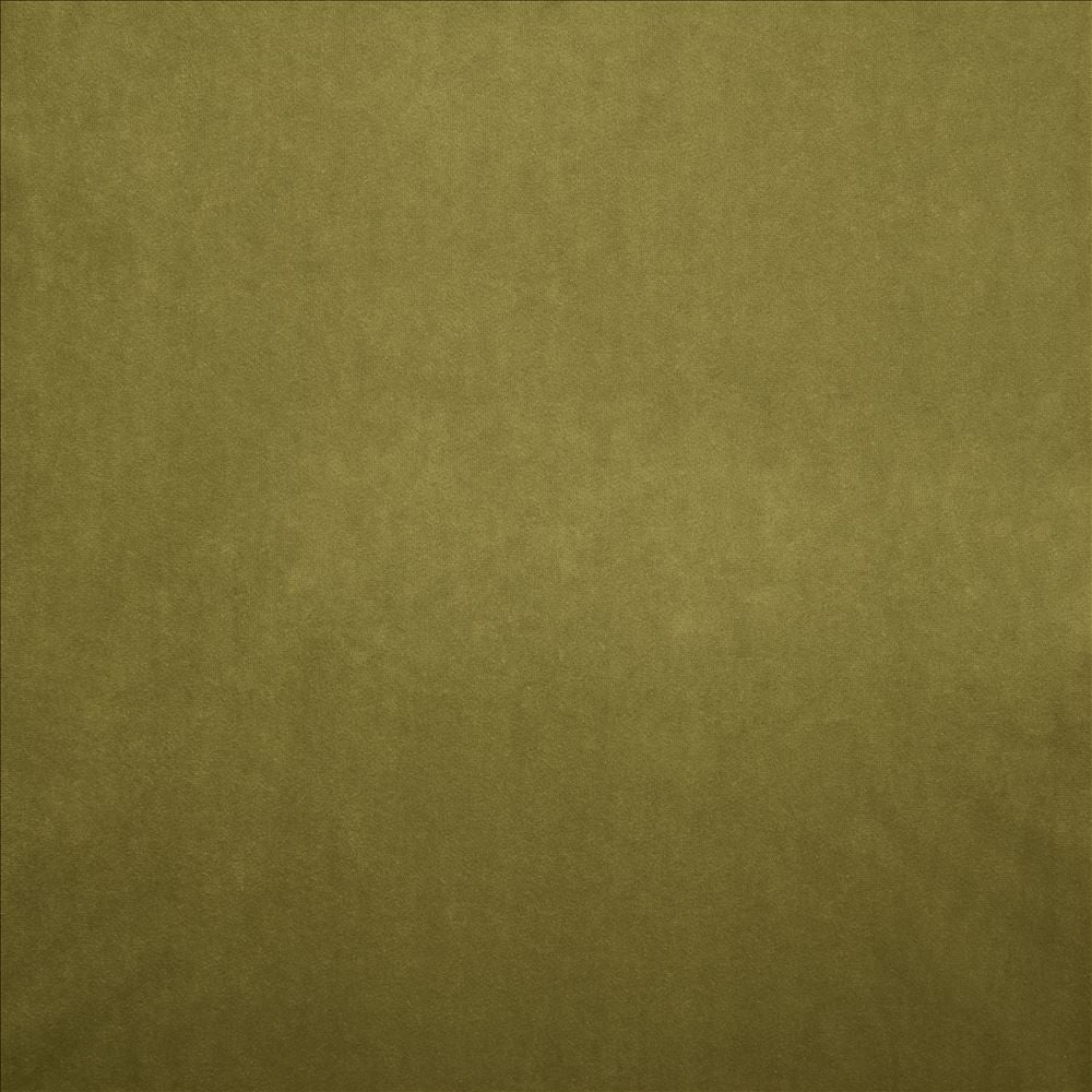 Nampara Olive by Kasmir Fabric 5167 100% Polyester
 CHINA 105,000 Wyzenbeek Double Rubs Horizontal: N/A and Vertical: N/A 58 - Fabric Carolina -