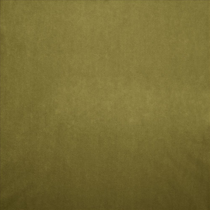 Nampara Olive  by Kasmir Fabric See sample 100% Polyester
 CHINA 105,000 Wyzenbeek Double Rubs </p><p>Repeat: Horizontal: N/A and Vertical: N/A 58  - Fabric Carolina -