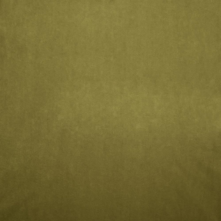 Nampara Olive by Kasmir Fabric 5167 100% Polyester
 CHINA </p><p>Repeat: Horizontal: N/A and Vertical: N/A 58 - Fabric Carolina -
