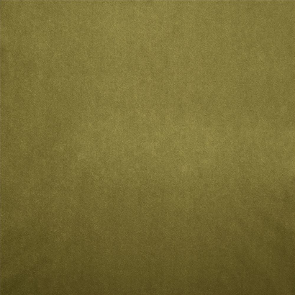 Nampara Olive by Kasmir Fabric 5167 100% Polyester
 CHINA 105,000 Wyzenbeek Double Rubs </p><p>Repeat: Horizontal: N/A and Vertical: N/A 58 - Fabric Carolina -