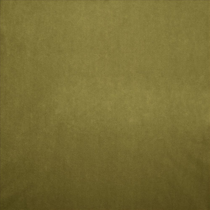 Nampara Olive by Kasmir Fabric 5167 100% Polyester
 CHINA 105,000 Wyzenbeek Double Rubs </p><p>Repeat: Horizontal: N/A and Vertical: N/A 58 - Fabric Carolina -