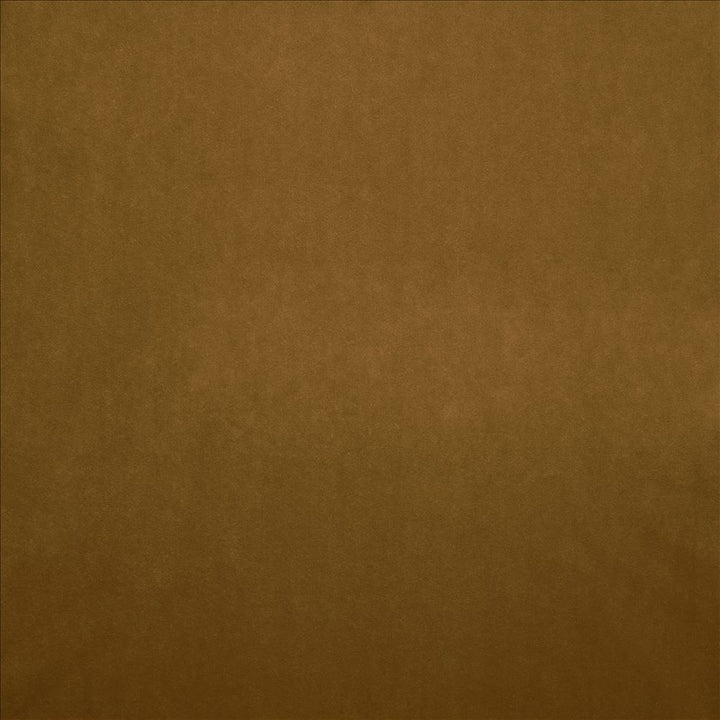 Nampara Saddle by Kasmir Fabric 5167 100% Polyester
 CHINA </p><p>Repeat: Horizontal: N/A and Vertical: N/A 58 - Fabric Carolina -