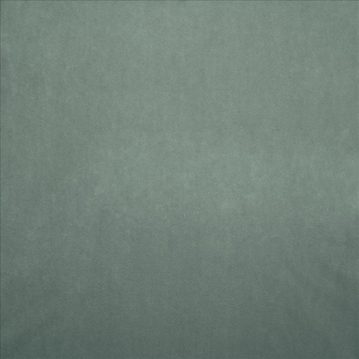 Nampara Seaspray by Kasmir Fabric 5167 100% Polyester
 CHINA </p><p>Repeat: Horizontal: N/A and Vertical: N/A 58 - Fabric Carolina -