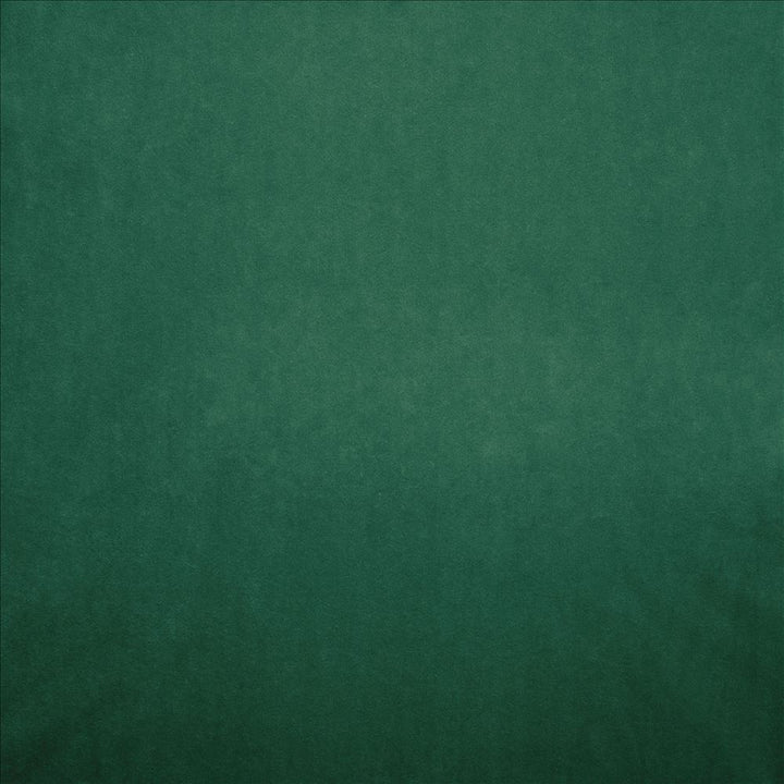 Nampara Spruce by Kasmir Fabric 5167 100% Polyester
 CHINA 105,000 Wyzenbeek Double Rubs </p><p>Repeat: Horizontal: N/A and Vertical: N/A 58 - Fabric Carolina -