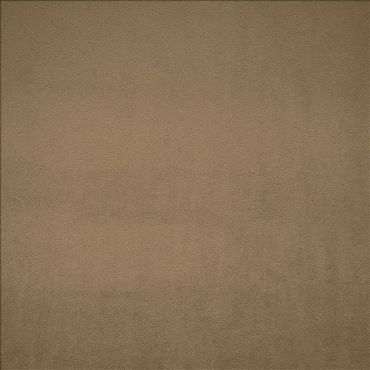 Nampara Tan by Kasmir Fabric 5167 100% Polyester
 CHINA 105,000 Wyzenbeek Double Rubs Horizontal: N/A and Vertical: N/A 58 - Fabric Carolina -