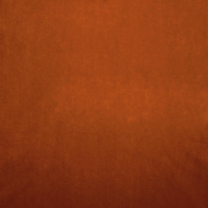 Nampara Terracotta by Kasmir Fabric 5167 100% Polyester
 CHINA </p><p>Repeat: Horizontal: N/A and Vertical: N/A 58 - Fabric Carolina -
