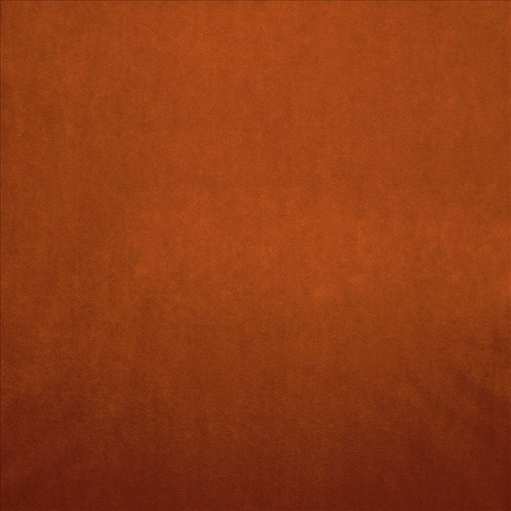Nampara Terracotta by Kasmir Fabric 5167 100% Polyester
 CHINA 105,000 Wyzenbeek Double Rubs </p><p>Repeat: Horizontal: N/A and Vertical: N/A 58 - Fabric Carolina -