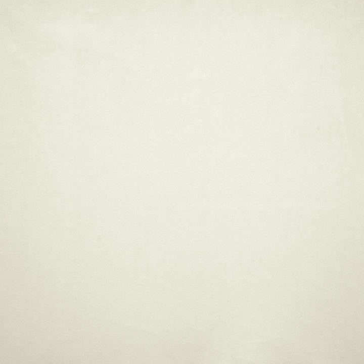 Nampara White by Kasmir Fabric 5167 100% Polyester
 CHINA </p><p>Repeat: Horizontal: N/A and Vertical: N/A 58 - Fabric Carolina -