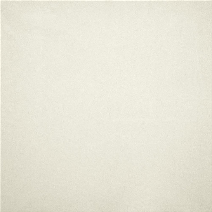Nampara White by Kasmir Fabric 5167 100% Polyester
 CHINA </p><p>Repeat: Horizontal: N/A and Vertical: N/A 58 - Fabric Carolina -