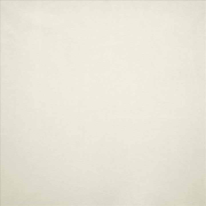 Nampara White by Kasmir Fabric 5167 100% Polyester
 CHINA 105,000 Wyzenbeek Double Rubs </p><p>Repeat: Horizontal: N/A and Vertical: N/A 58 - Fabric Carolina -